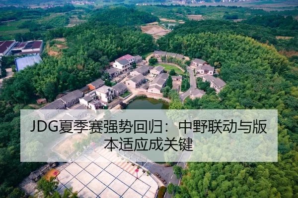 JDG夏季赛强势回归：中野联动与版本适应成关键
