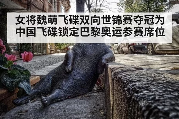 女将魏萌飞碟双向世锦赛夺冠为中国飞碟锁定巴黎奥运参赛席位