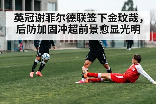 英冠谢菲尔德联签下金玟哉，后防加固冲超前景愈显光明