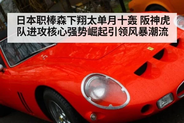 日本职棒森下翔太单月十轰 阪神虎队进攻核心强势崛起引领风暴潮流